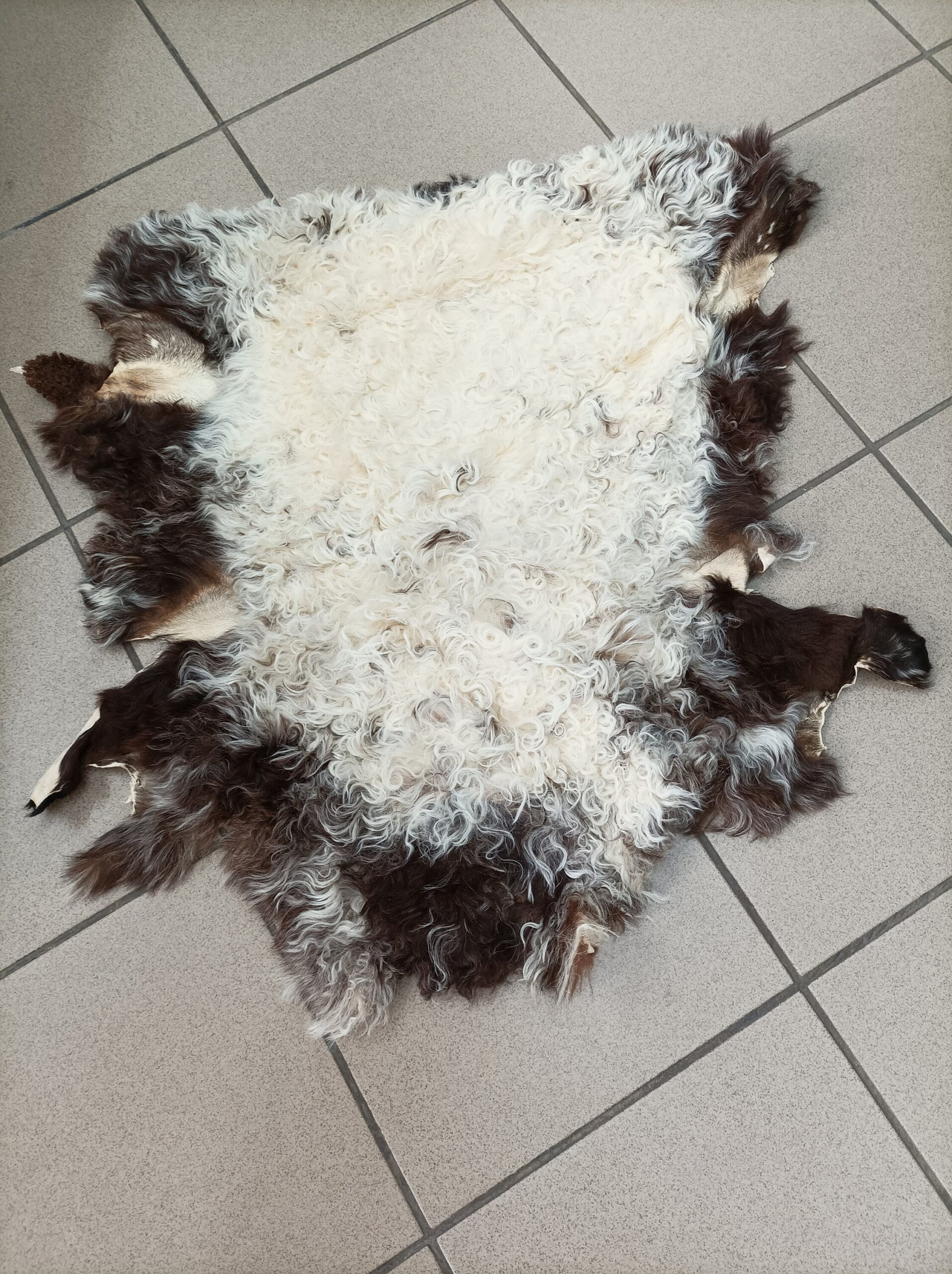 Real Sheep fur skin, ecru and brown colour soft fur for floor rug. - Image 7