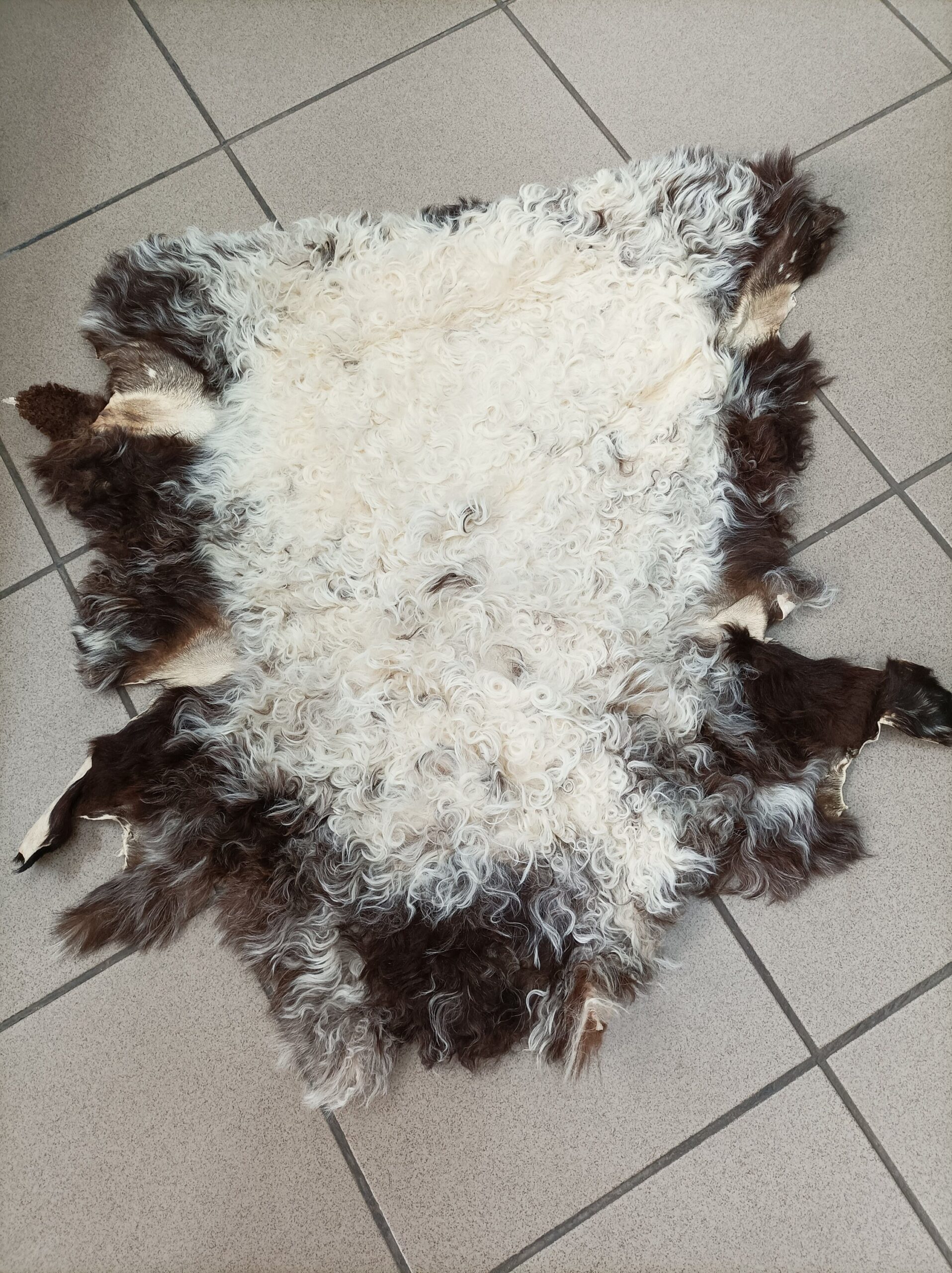 Real Sheep fur skin, ecru and brown colour soft fur for floor rug. - Image 8