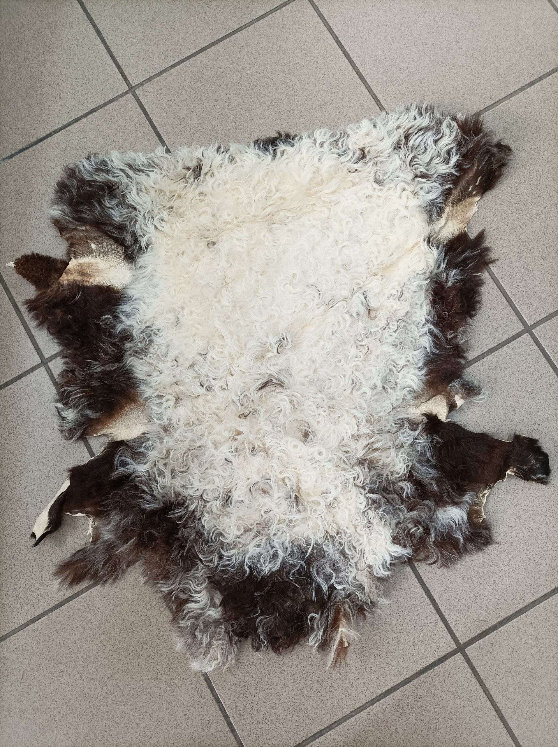 Real Sheep fur skin, ecru and brown colour soft fur for floor rug.