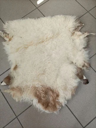 Real Sheep fur skin, ecru and cinnamon colour soft fur for floor rug.