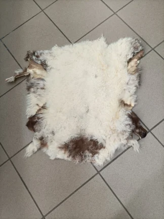 Real Sheep fur skin, ecru and brown colour soft fur for floor rug.