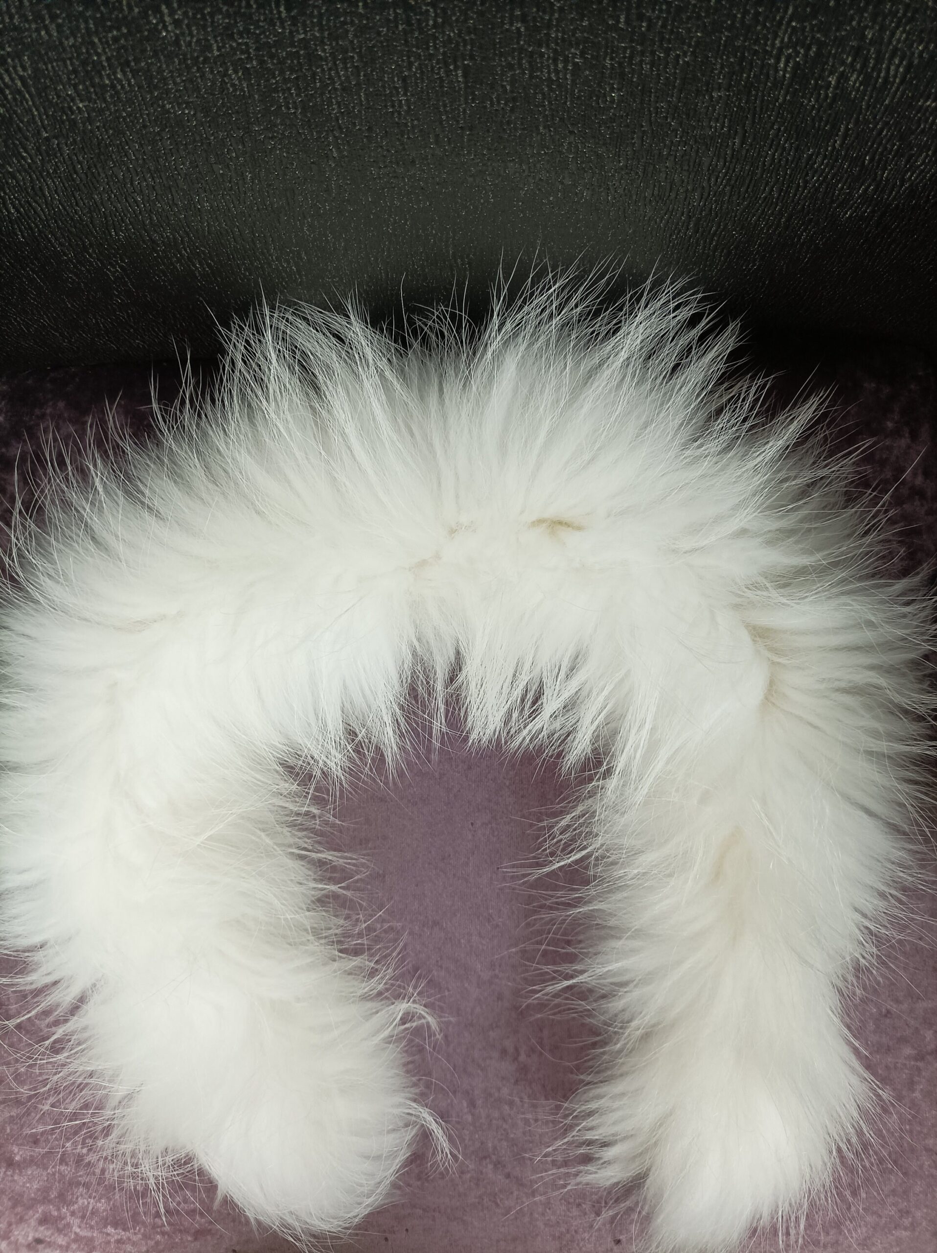 Fur hood trim,real finn raccoon hood trim, fur collar, white finn raccoon fur hood trim, fur scarf.