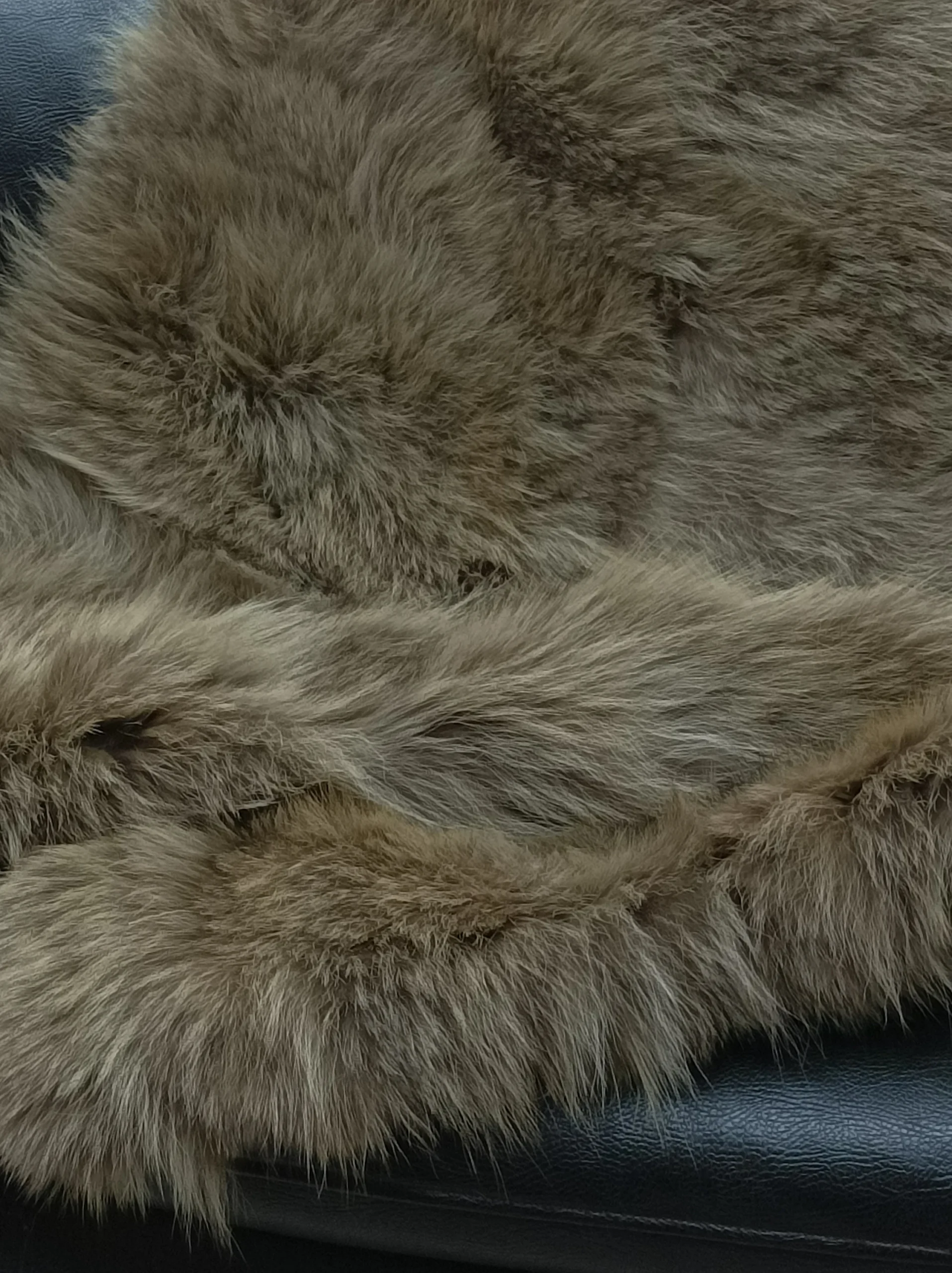 Real Coyote fur blanket throw khaki color, Home warmer - Image 2