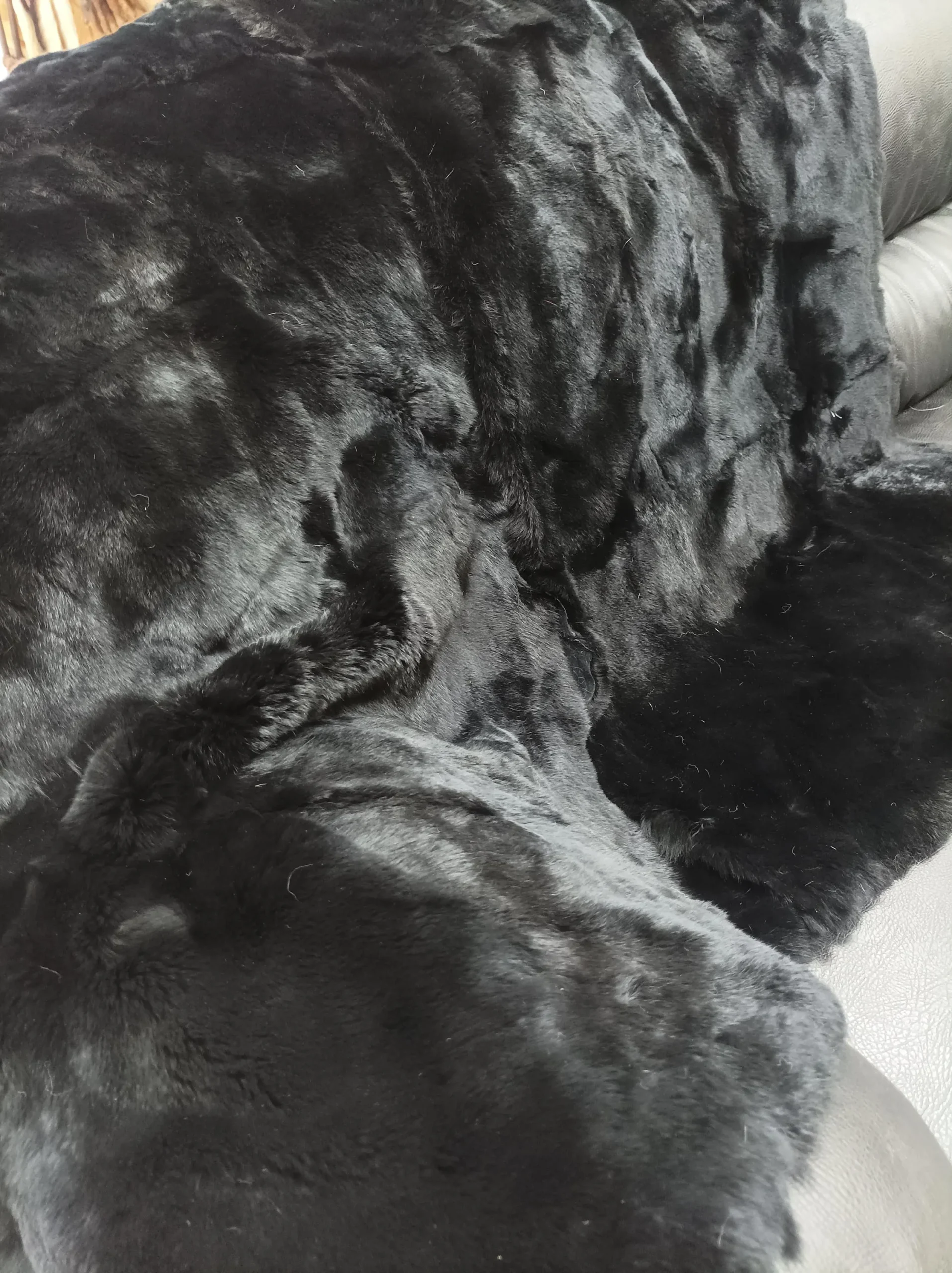 Real Rex Rabbit fur blanket throw ,black color, Home warmer - Image 4