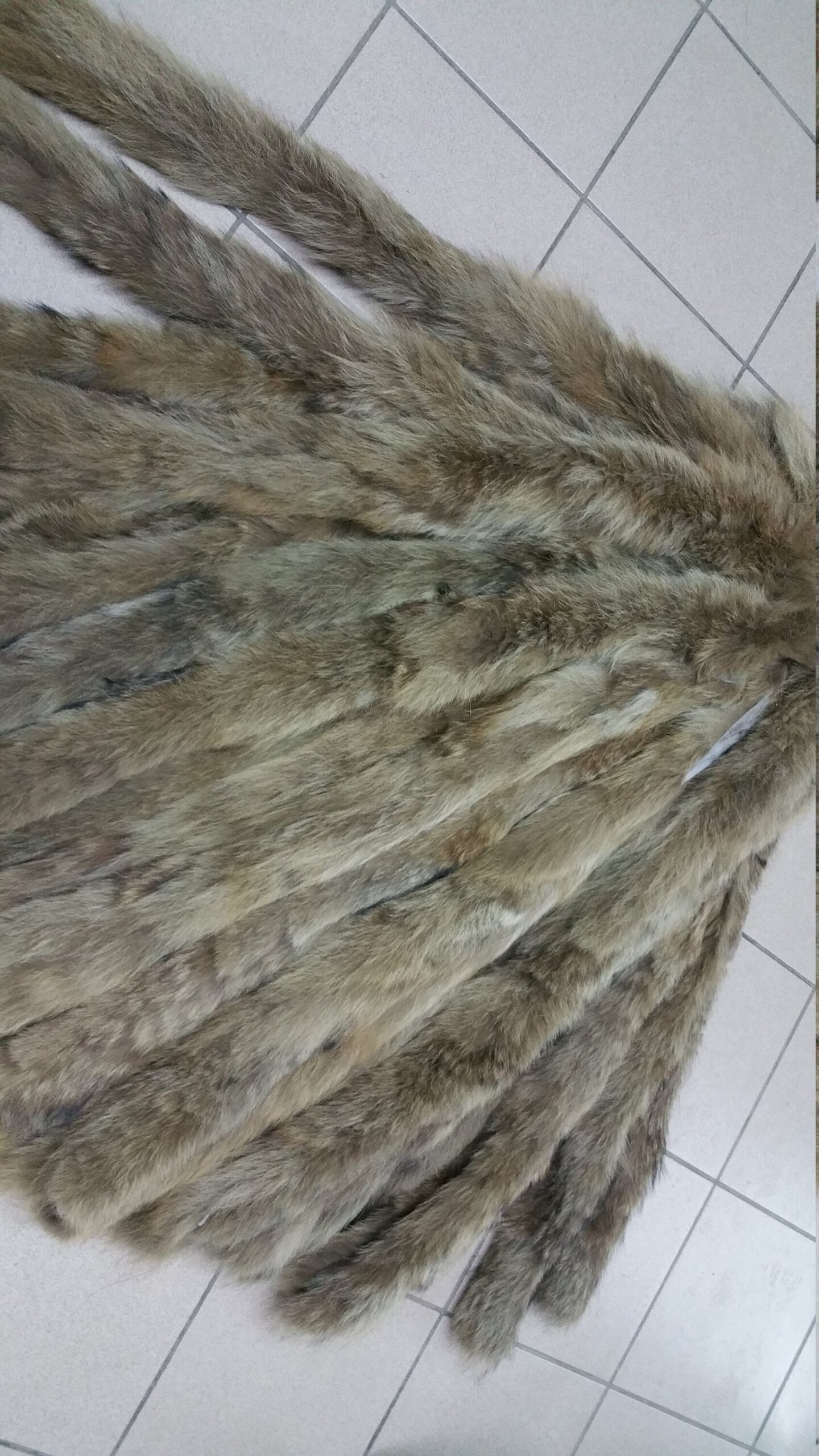 Fur haki Coyote fluffy stripes trims diy crafts use it collar, scarf, hood. - Image 3