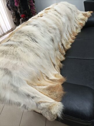 Real Coyote fur blanket throw natural color, Home warmer