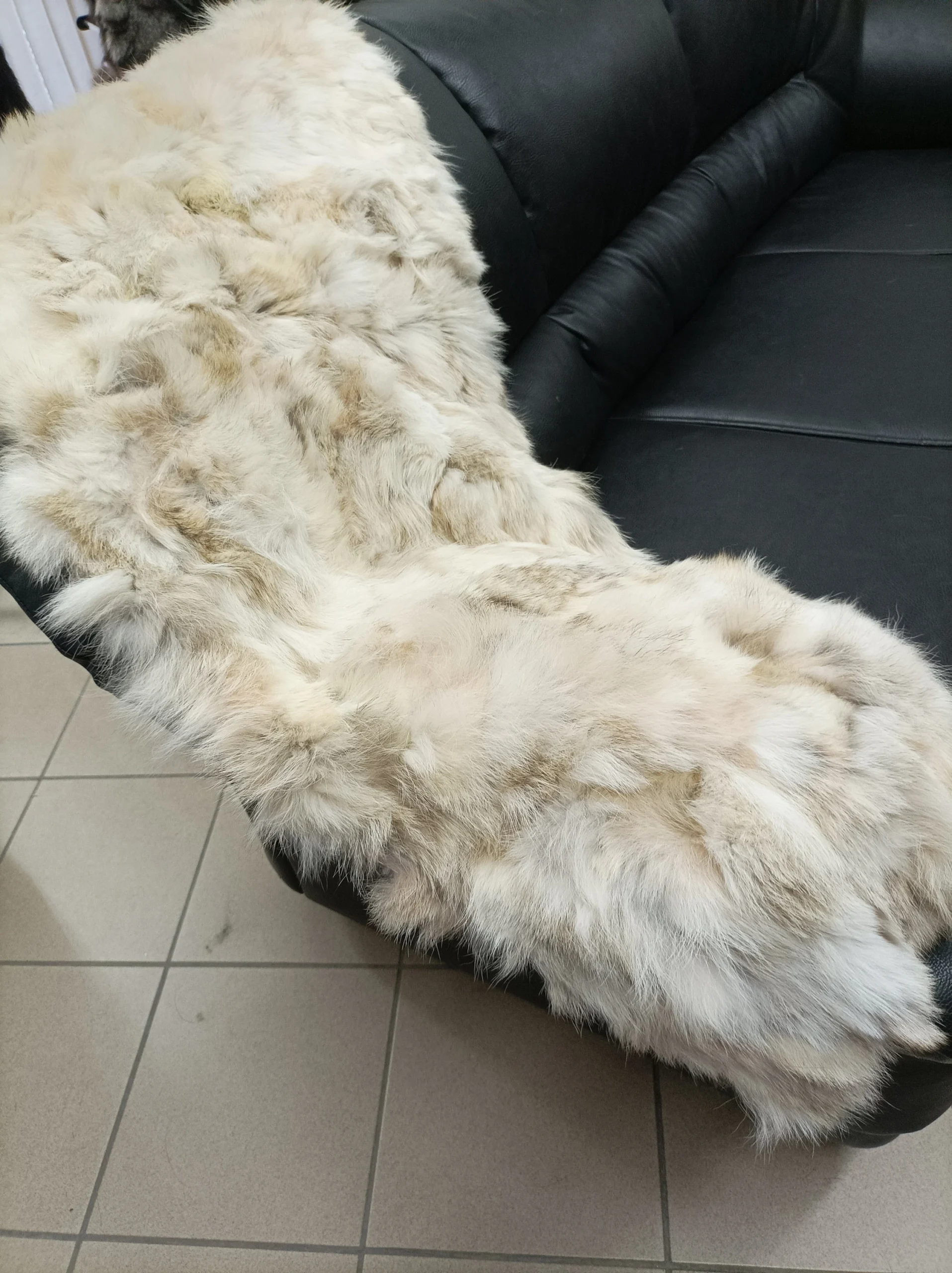 Real coyote fur blanket throw, natural color, Home warmer - Image 4
