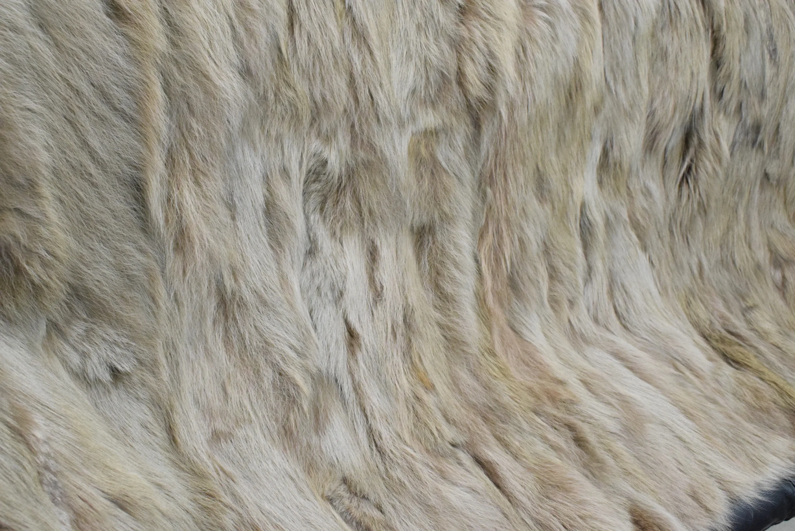Real Coyote fur blanket throw haki color, Home warmer - Image 3