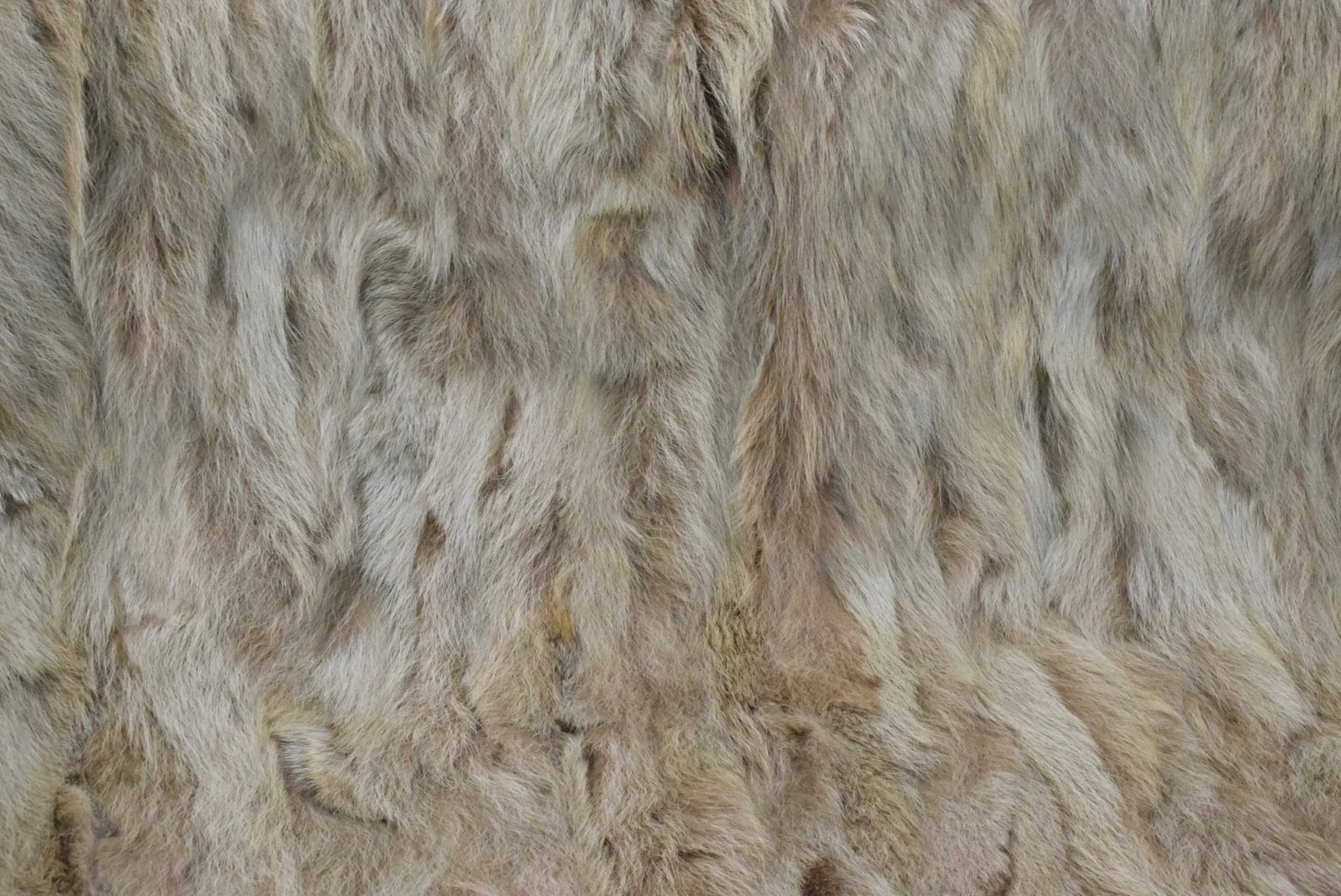 Real Coyote fur blanket throw haki color, Home warmer - Image 4
