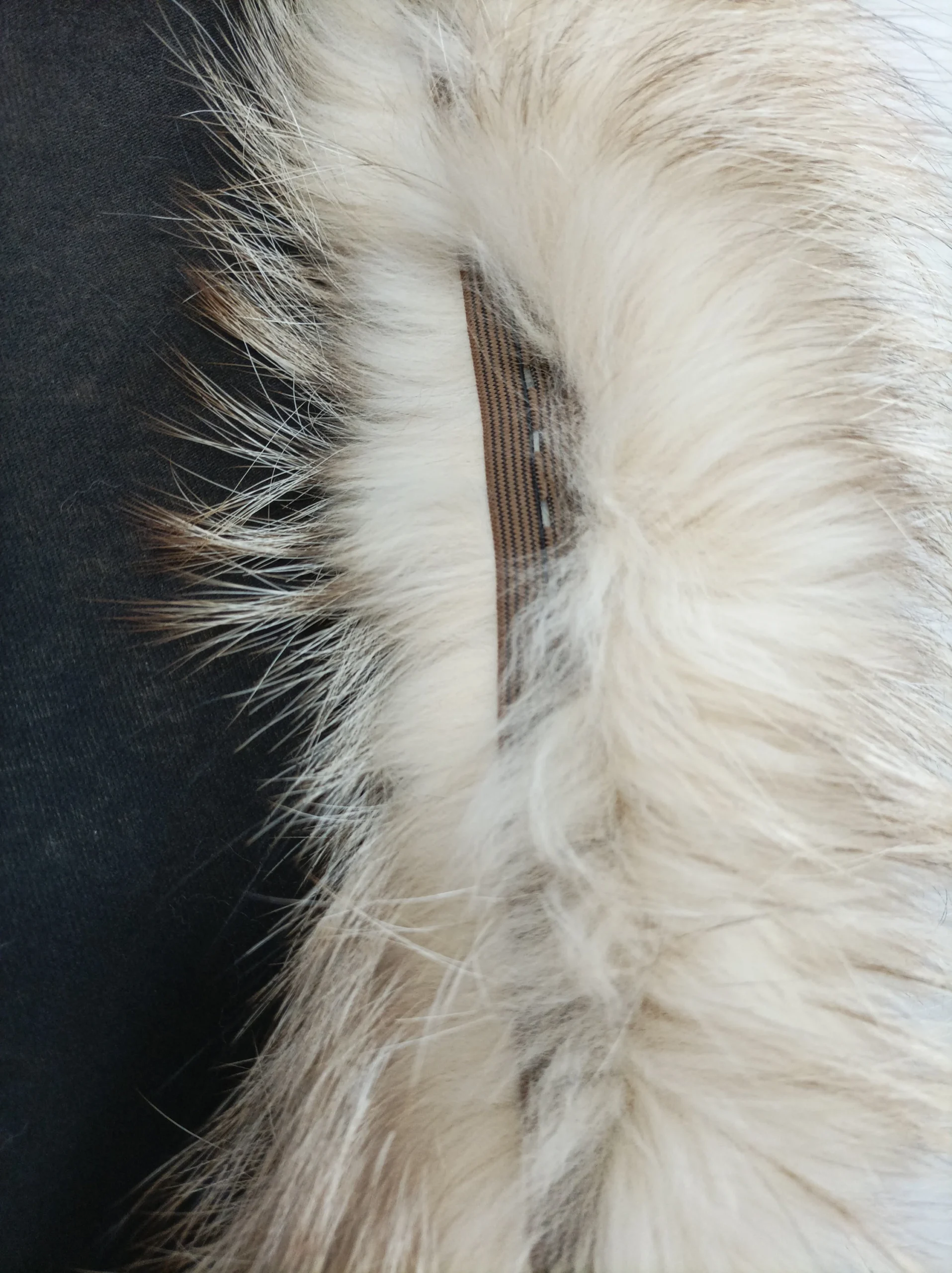 Real Fox Fur Hood Trim: Fluffy Fur Scarf, Collar - Image 6